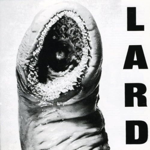 Power of Lard