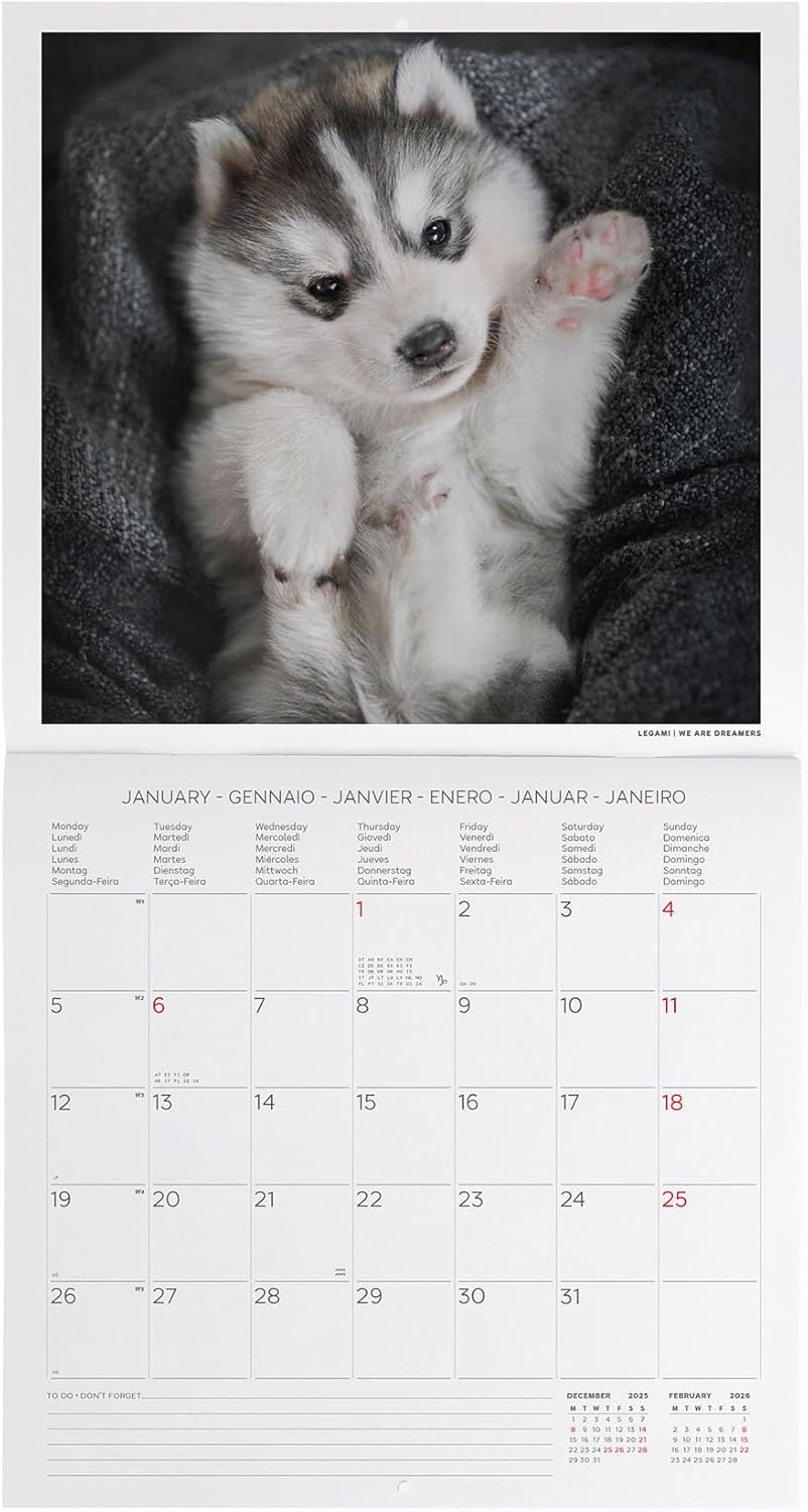 Legami - 2026 Wall Calendar, Puppies, Large Wall Calendar, 12 Months and Year Planner in 6 Languages, Space for Notes, Zodiac Signs, International Holidays, 30 x 29 cm