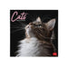 Legami - 2026 Wall Calendar, Cats Large Wall Calendar, 12 Months and Yearly Planner, in 6 Languages, Space for Notes, Zodiac Signs, International Holidays, 30 x 29 cm