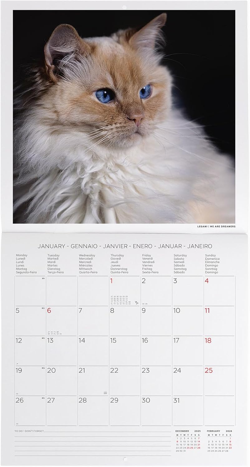 Legami - 2026 Wall Calendar, Cats Large Wall Calendar, 12 Months and Yearly Planner, in 6 Languages, Space for Notes, Zodiac Signs, International Holidays, 30 x 29 cm