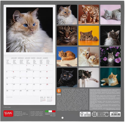 Legami - 2026 Wall Calendar, Cats Large Wall Calendar, 12 Months and Yearly Planner, in 6 Languages, Space for Notes, Zodiac Signs, International Holidays, 30 x 29 cm