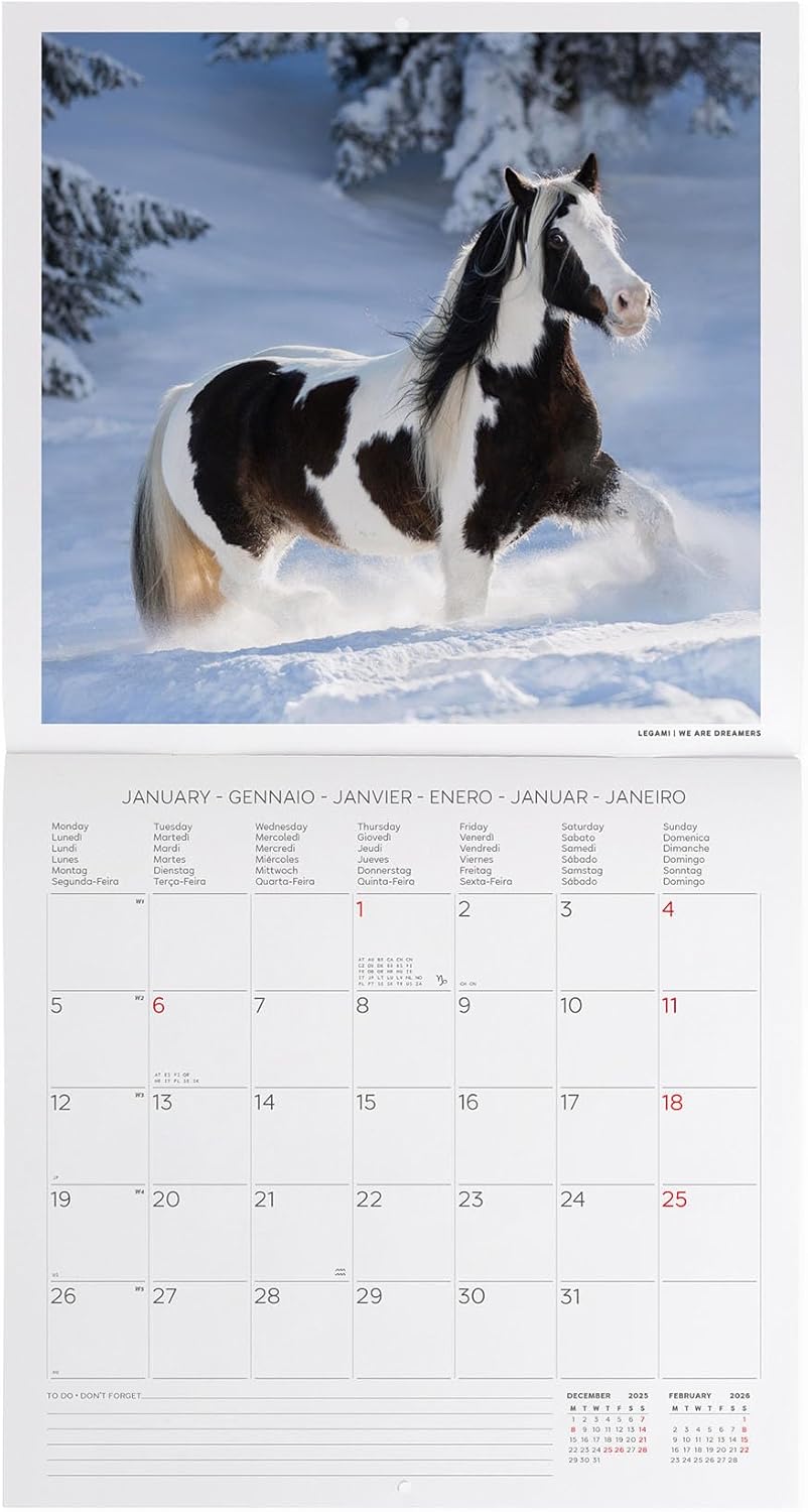 Legami - 2026 Wild Horses Wall Calendar, Large Wall Calendar, 12 Months and Year Planner, in 6 Languages, Space for Notes, Zodiac Signs, International Holidays, 30 x 29 cm