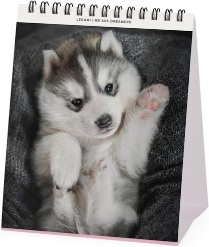 Legami - 2026 Desk Calendar, Puppies Desk Calendar, 12 Months and Yearly Planner, in 6 Languages, Zodiac Signs, International Holidays, 12 x 14.5 cm