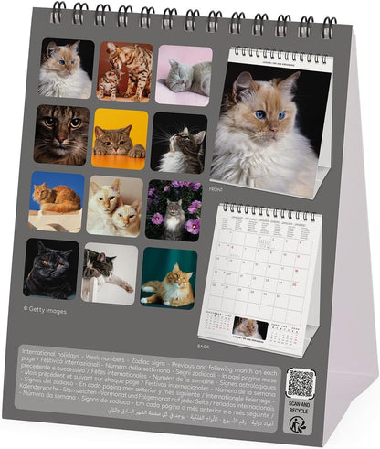 Legami - Desk Calendar 2026, Cats Desk Calendar, 12 Months and Yearly Planner, in 6 Languages, Zodiac Signs, International Holidays, 12 x 14.5 cm