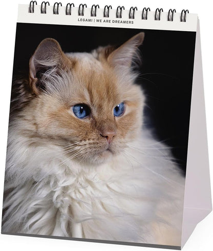 Legami - Desk Calendar 2026, Cats Desk Calendar, 12 Months and Yearly Planner, in 6 Languages, Zodiac Signs, International Holidays, 12 x 14.5 cm