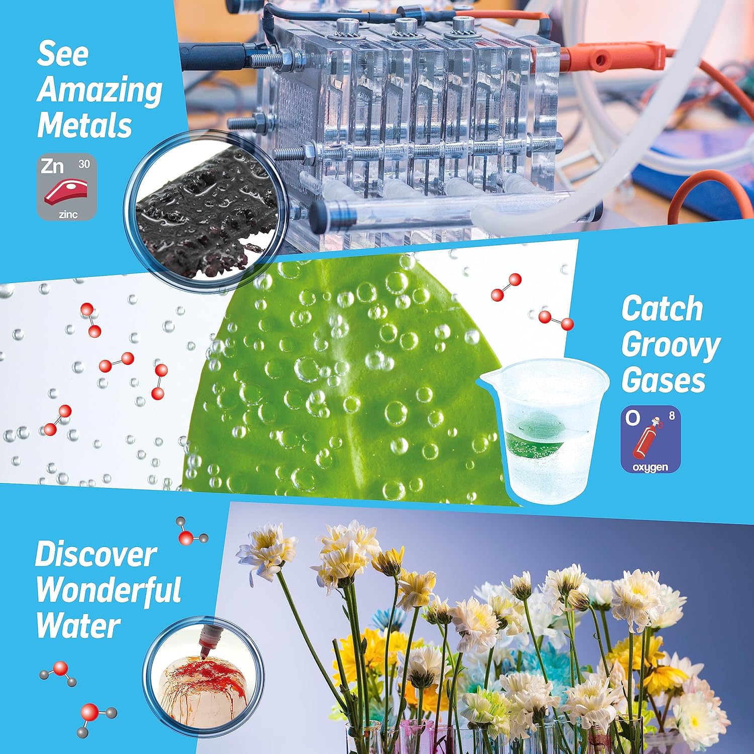 WILD ENVIRONMENTAL SCIENCE TEST TUBE CHEMISTRY LAB Age 8+ | Kids Toys for Science Experiments | Hands-On Lessons in Chemistry | Safe & Fun Educational Kit for Budding Chemists | For boys and girls +