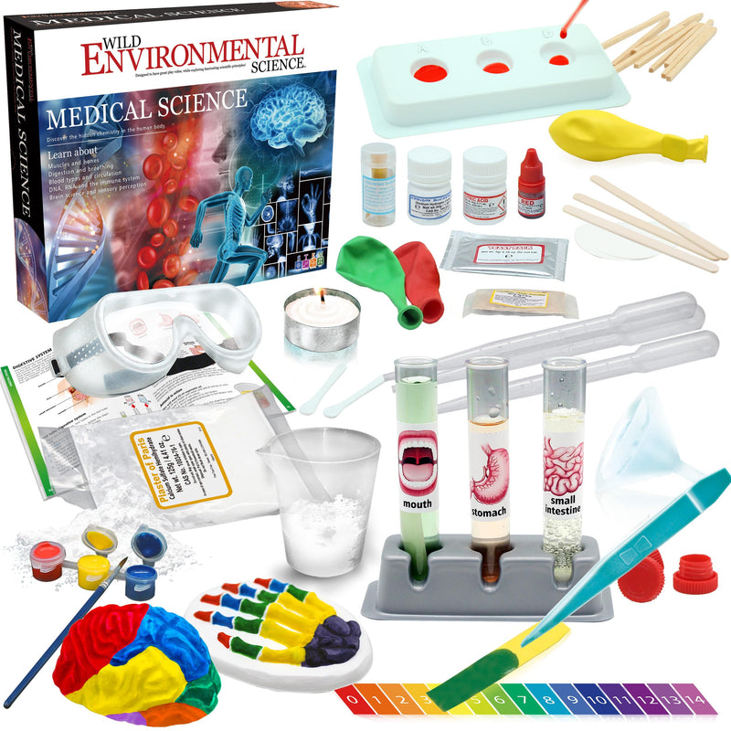WILD ENVIRONMENTAL SCIENCE Medical Science - STEM Kit Age 8+ for Ages 8+ - Make a Test-Tube Digestive System, Extract DNA, Create Anatomical Models and More!