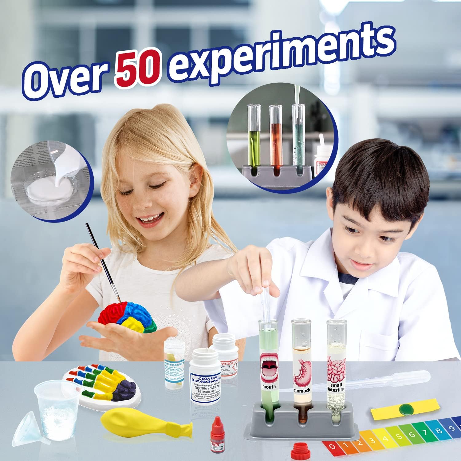 WILD ENVIRONMENTAL SCIENCE Medical Science - STEM Kit Age 8+ for Ages 8+ - Make a Test-Tube Digestive System, Extract DNA, Create Anatomical Models and More!