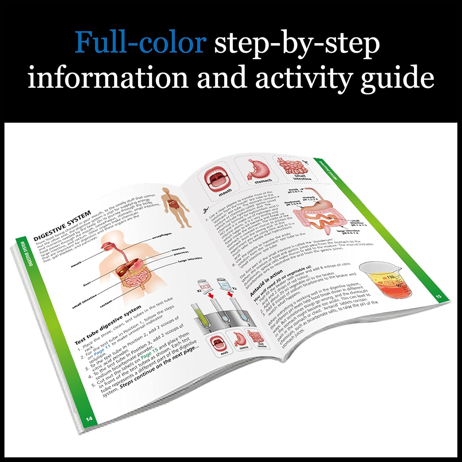 WILD ENVIRONMENTAL SCIENCE Medical Science - STEM Kit Age 8+ for Ages 8+ - Make a Test-Tube Digestive System, Extract DNA, Create Anatomical Models and More!