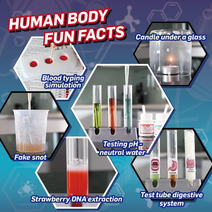 WILD ENVIRONMENTAL SCIENCE Medical Science - STEM Kit Age 8+ for Ages 8+ - Make a Test-Tube Digestive System, Extract DNA, Create Anatomical Models and More!
