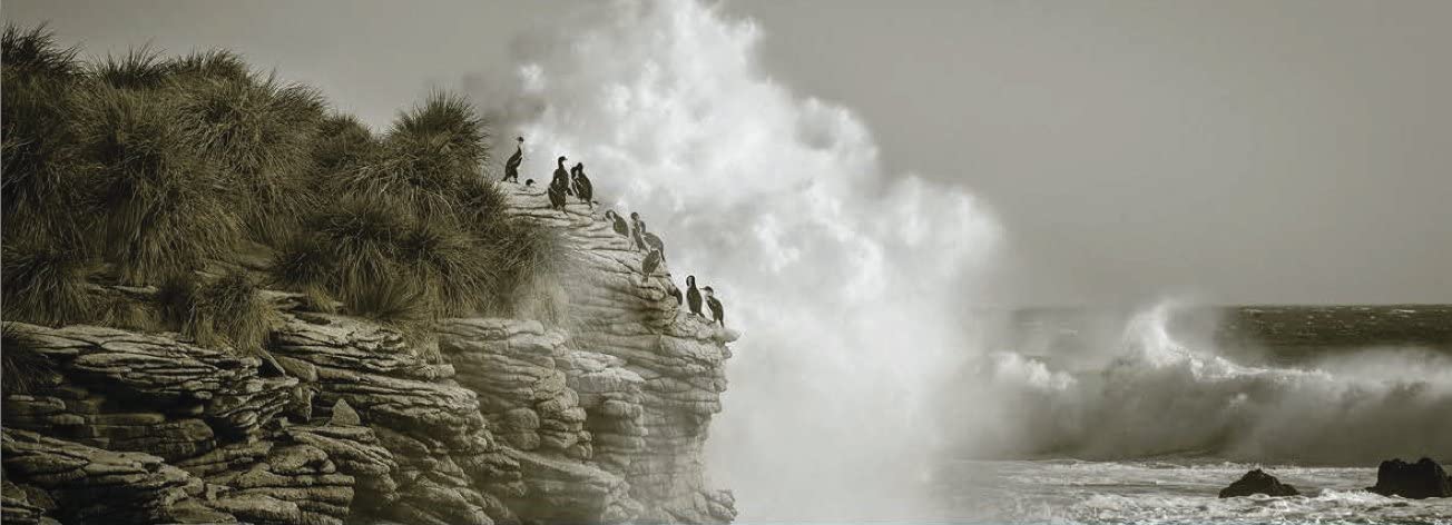 Atlantic: The Wildest Ocean on Earth