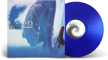 2000: In Search of the Endless Sky