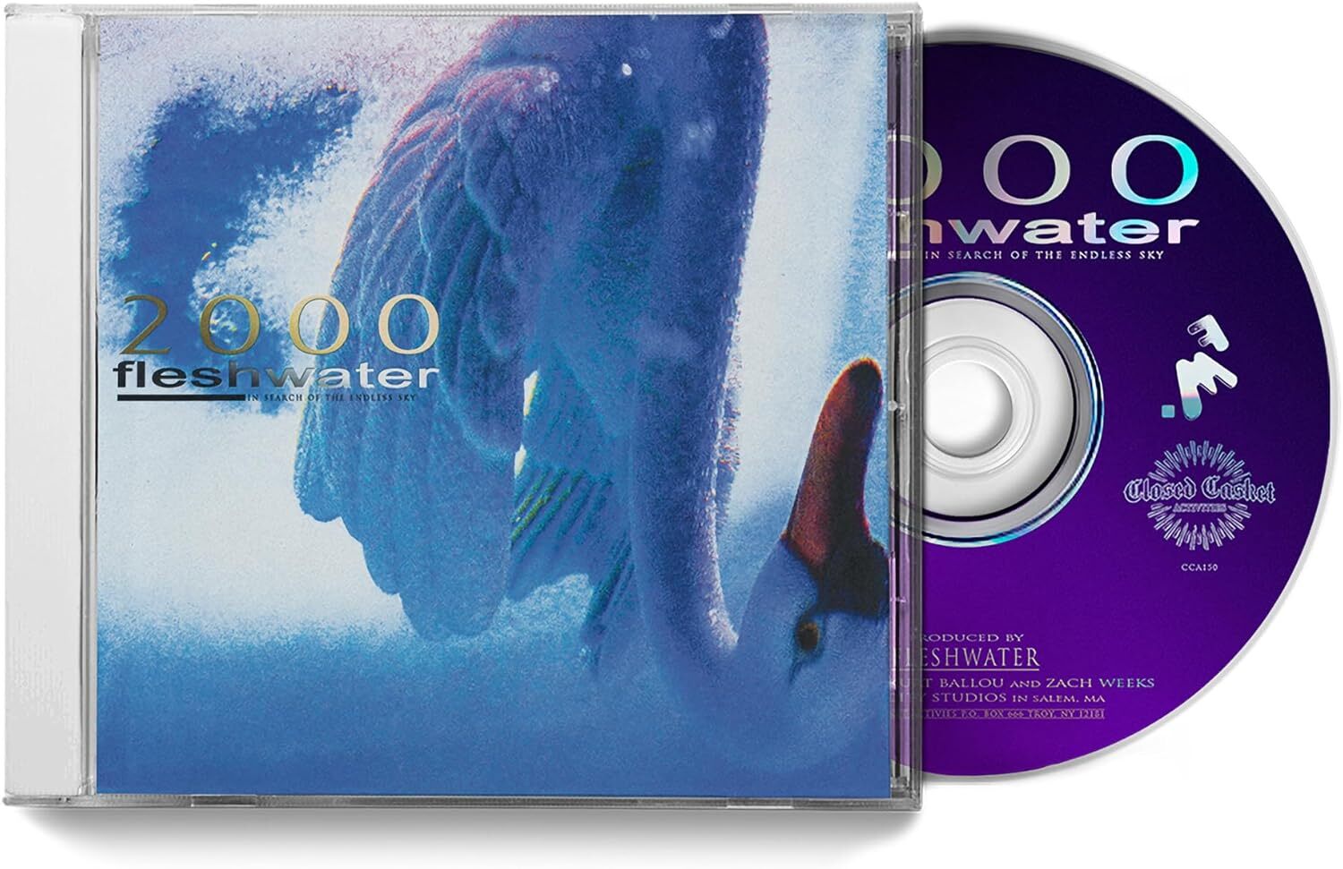 2000: In Search of the Endless Sky