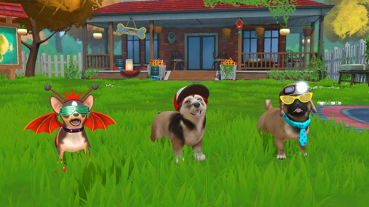Little Friends Puppy Island (Code in Box
