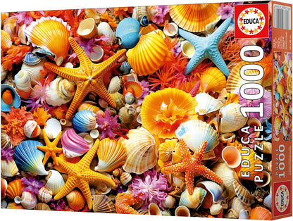 Educa Puzzel met 1000 delen voor volwassenen, schelpcollage, inclusief lijm Fix puzzel, afmetingen: 68 x 48 cm, vanaf 14 jaar (20246