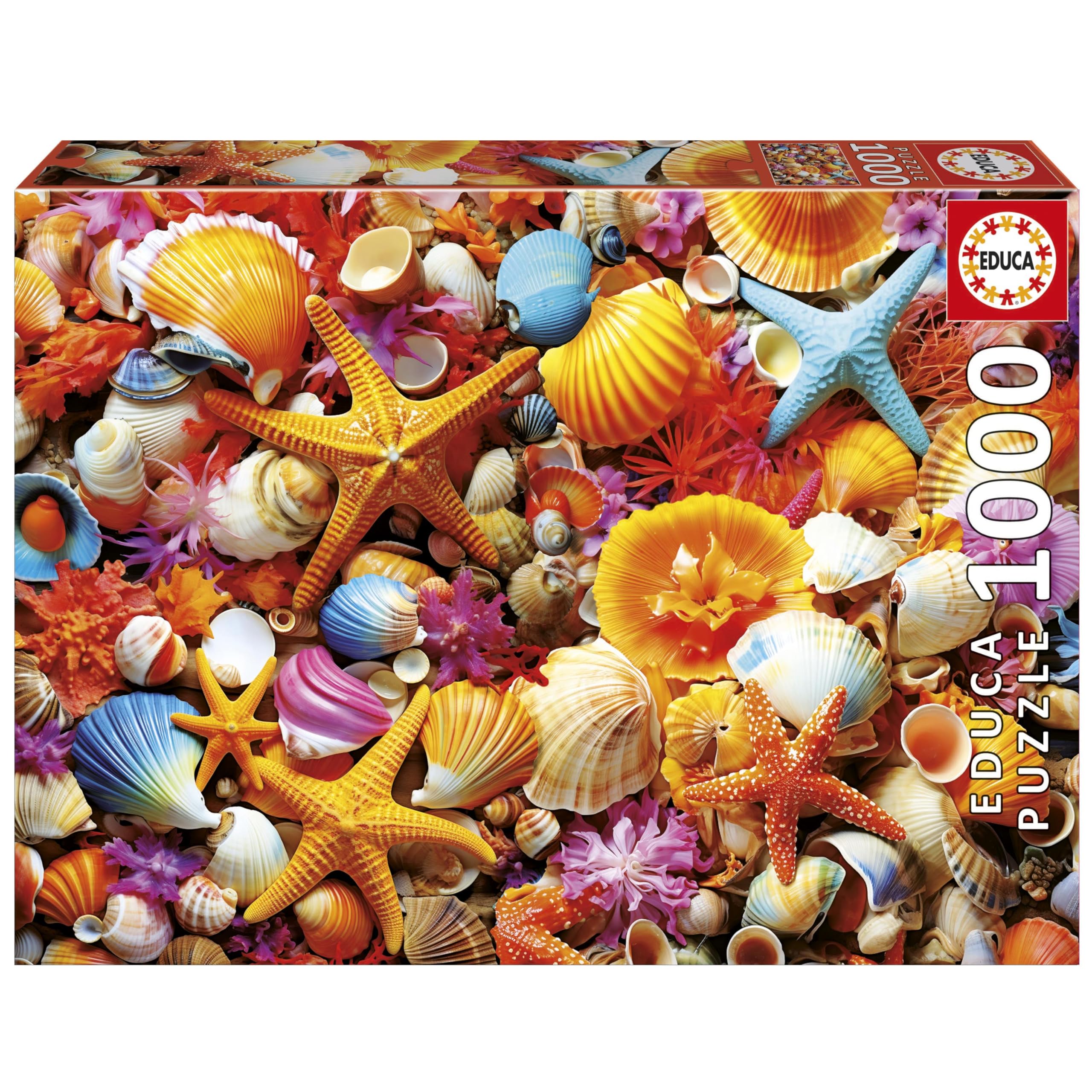 Educa Puzzel met 1000 delen voor volwassenen, schelpcollage, inclusief lijm Fix puzzel, afmetingen: 68 x 48 cm, vanaf 14 jaar (20246