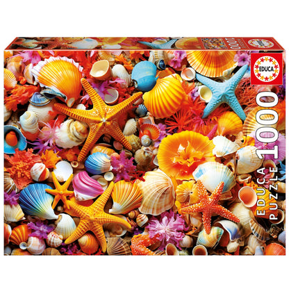 Educa Puzzel met 1000 delen voor volwassenen, schelpcollage, inclusief lijm Fix puzzel, afmetingen: 68 x 48 cm, vanaf 14 jaar (20246