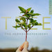 The Hermes Experiment: Tree
