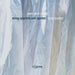 Jean-Paul Dessy: String Quartets and Quintet