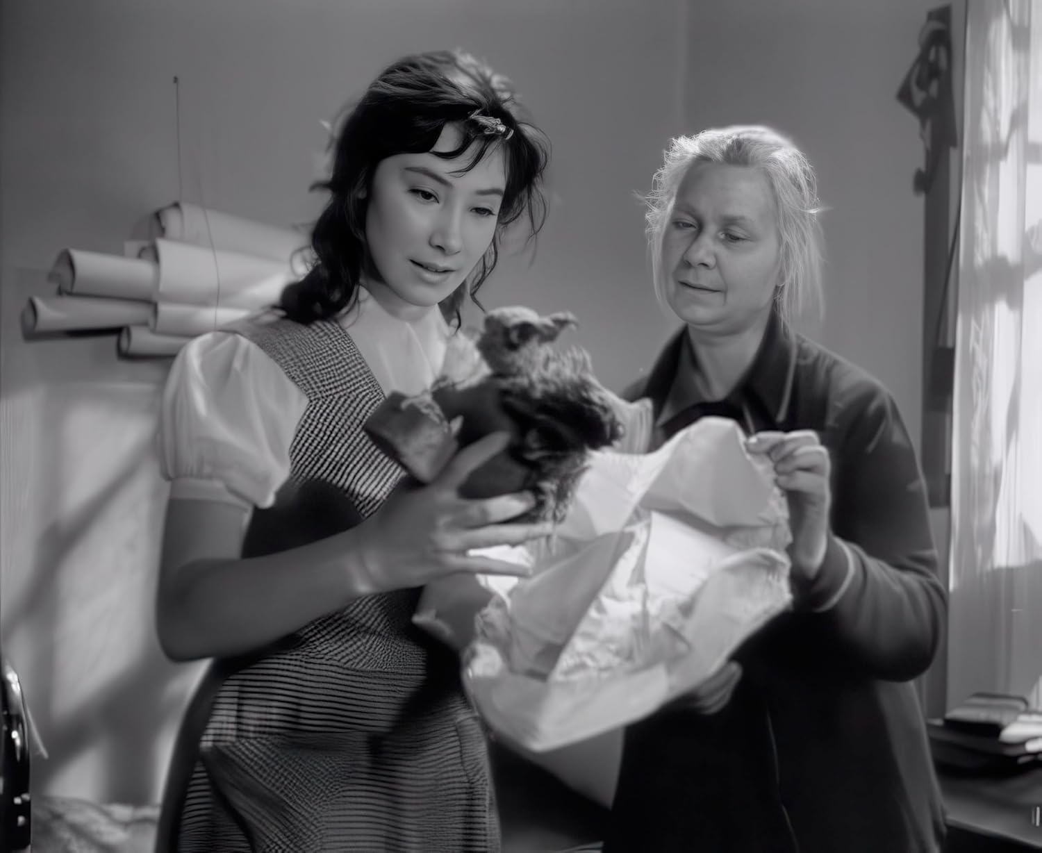 Wenn die Kraniche ziehen - Special Restored Edition (DEFA Filmjuwelen