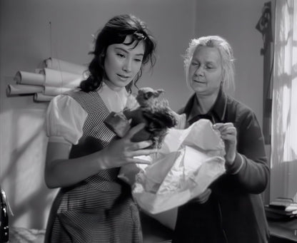 Wenn die Kraniche ziehen - Special Restored Edition (DEFA Filmjuwelen