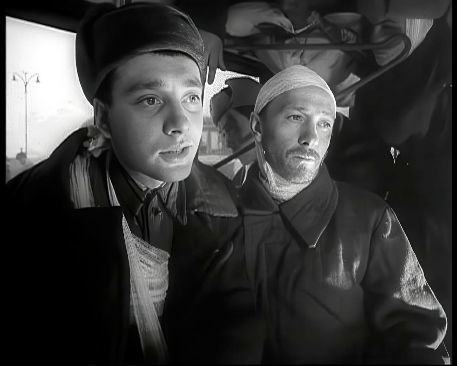 Wenn die Kraniche ziehen - Special Restored Edition (DEFA Filmjuwelen