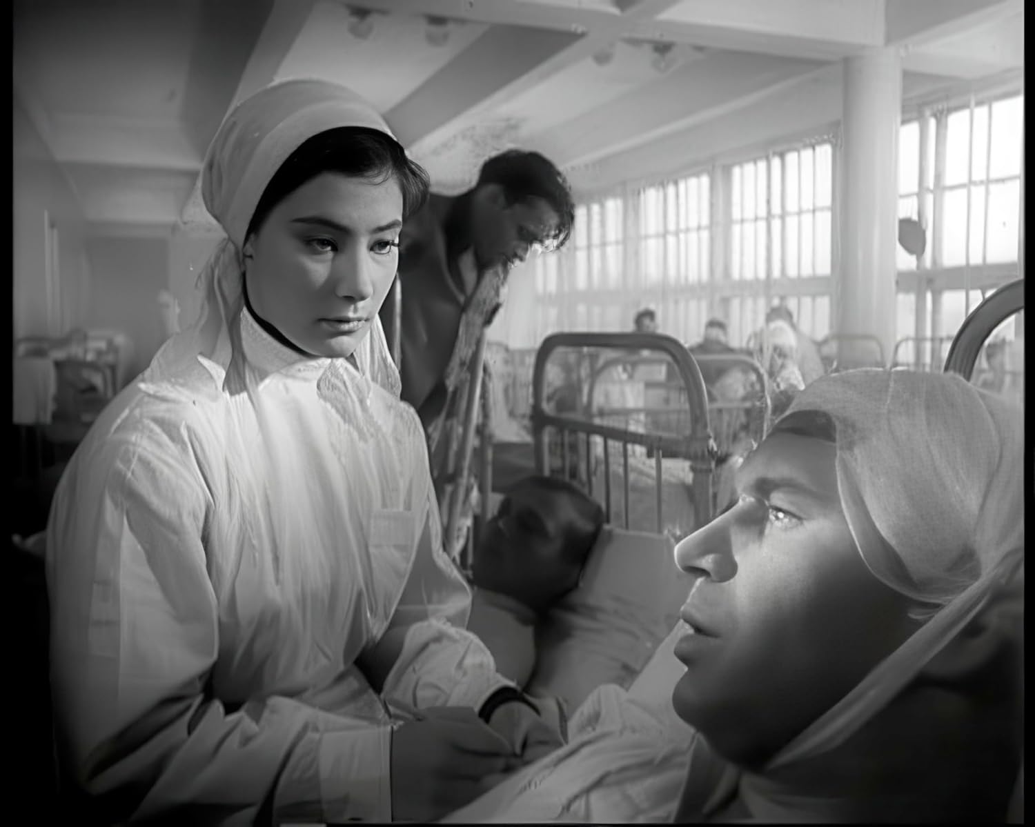 Wenn die Kraniche ziehen - Special Restored Edition (DEFA Filmjuwelen)