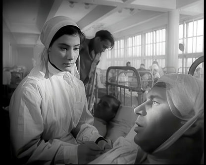 Wenn die Kraniche ziehen - Special Restored Edition (DEFA Filmjuwelen)