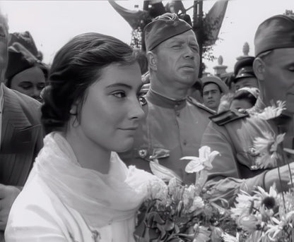Wenn die Kraniche ziehen - Special Restored Edition (DEFA Filmjuwelen)