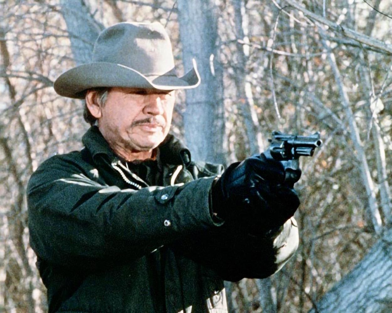 Der Grenzwolf (Borderline) / Harter Actionkrimi mit Charles Bronson und Ed Harris (Pidax Film-Klassiker