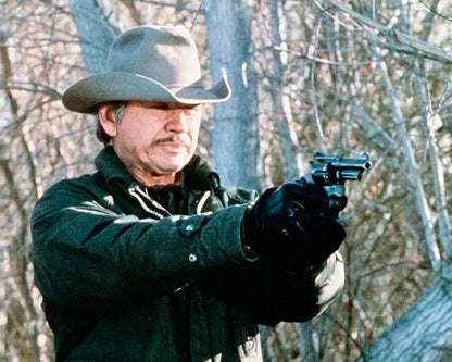 Der Grenzwolf (Borderline) / Harter Actionkrimi mit Charles Bronson und Ed Harris (Pidax Film-Klassiker