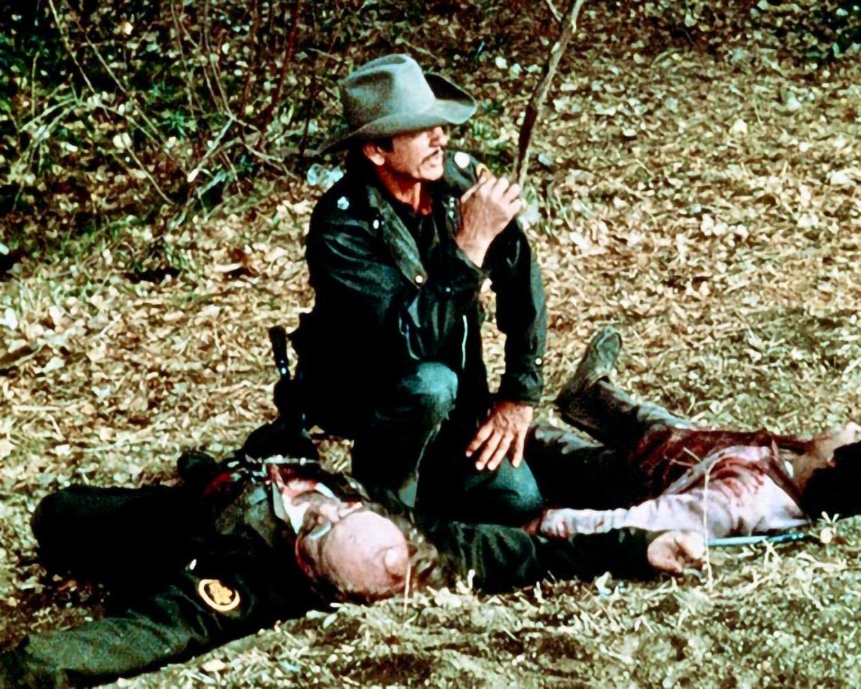 Der Grenzwolf (Borderline) / Harter Actionkrimi mit Charles Bronson und Ed Harris (Pidax Film-Klassiker