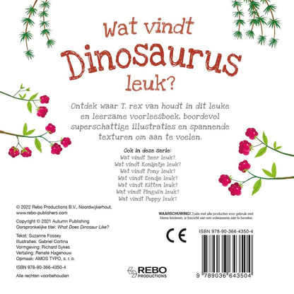 Rebo Publishers - Voelboek - Wat vindt Dinosaurus leuk?