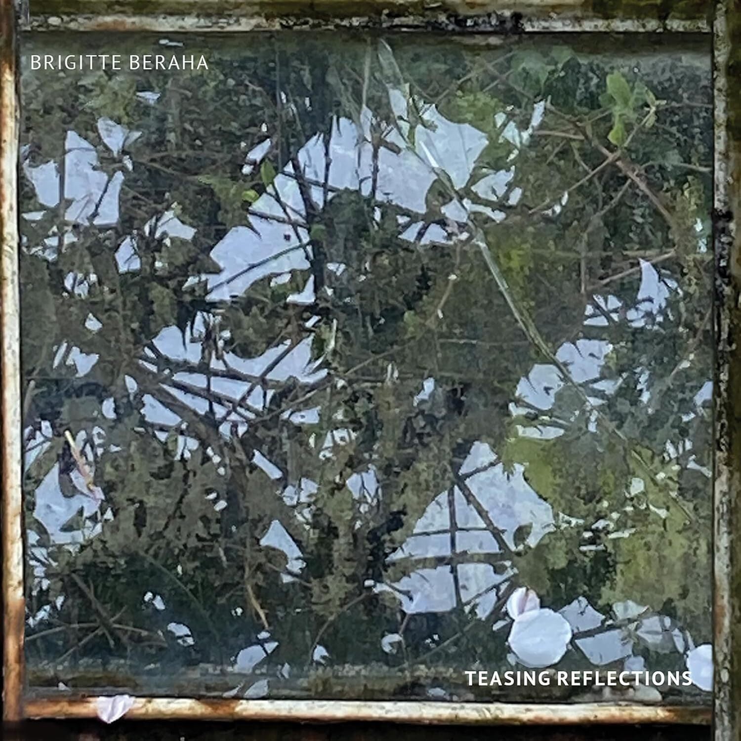 Teasing Reflections