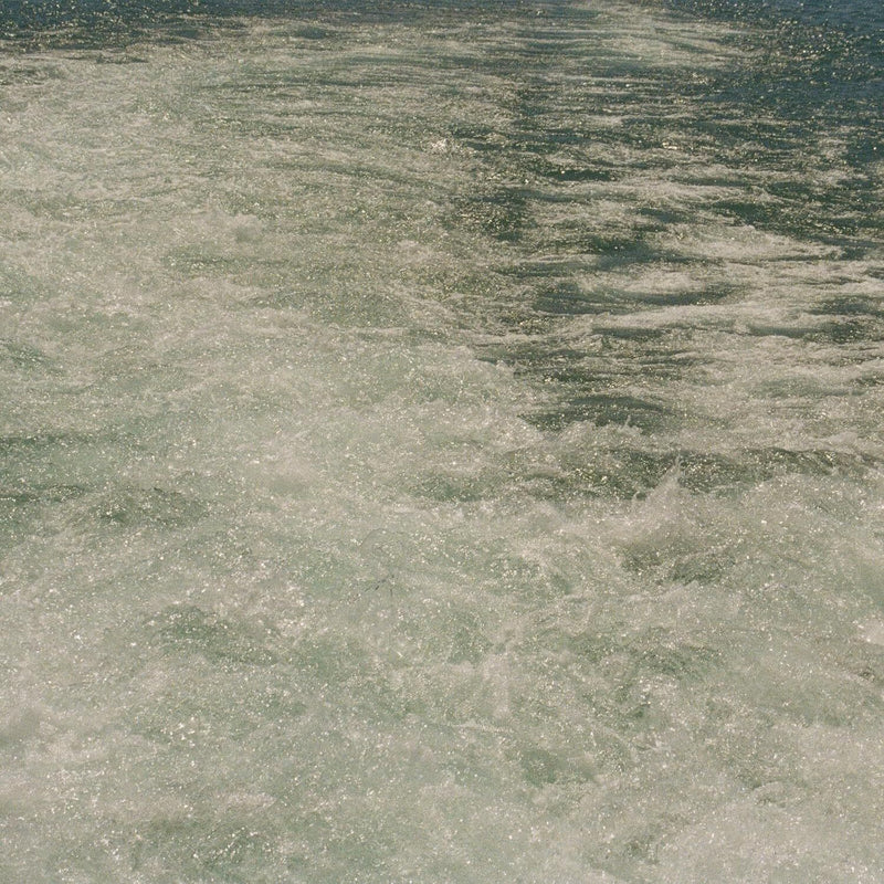 Dreams Along the Shore