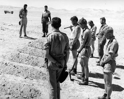 Die schwarzen Teufel von El Alamein (Sea of Sand) / Hervorragendes Kriegsabenteuer mit Starbesetzung (Pidax Historien-Klassiker