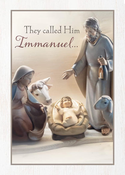 Greeting Cards Assortment Box - Love Came at Christmas, (NIV) - Christmas Greeting Cards - Motivational Bible Verse Cards - Scripture Cards with Bible Verses - Box of 12