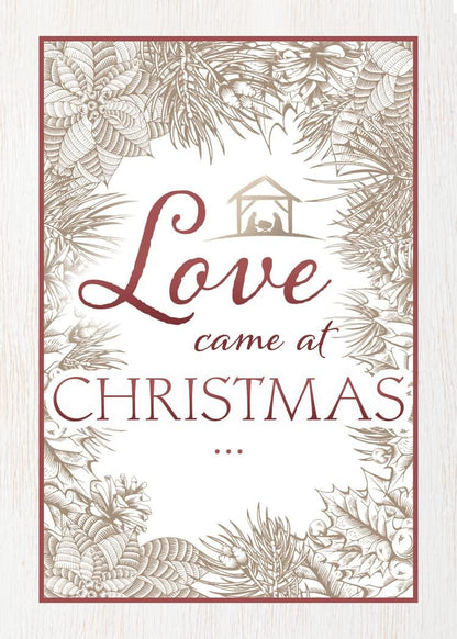 Greeting Cards Assortment Box - Love Came at Christmas, (NIV) - Christmas Greeting Cards - Motivational Bible Verse Cards - Scripture Cards with Bible Verses - Box of 12