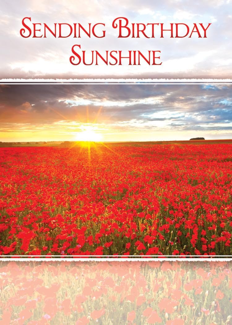 Warner Press Card-Boxed-Birthday Sunshine Assorted (KJV) (Box Of 12