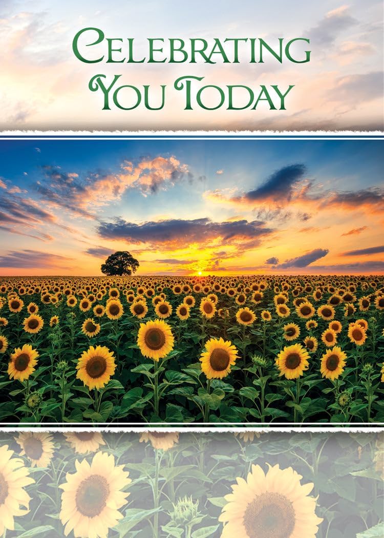 Warner Press Card-Boxed-Birthday Sunshine Assorted (KJV) (Box Of 12