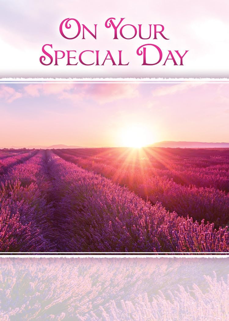 Warner Press Card-Boxed-Birthday Sunshine Assorted (KJV) (Box Of 12
