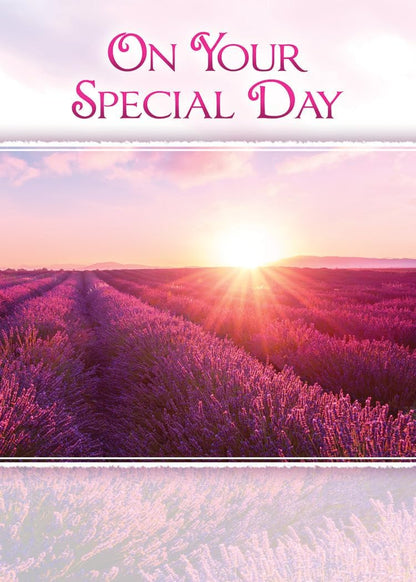 Warner Press Card-Boxed-Birthday Sunshine Assorted (KJV) (Box Of 12