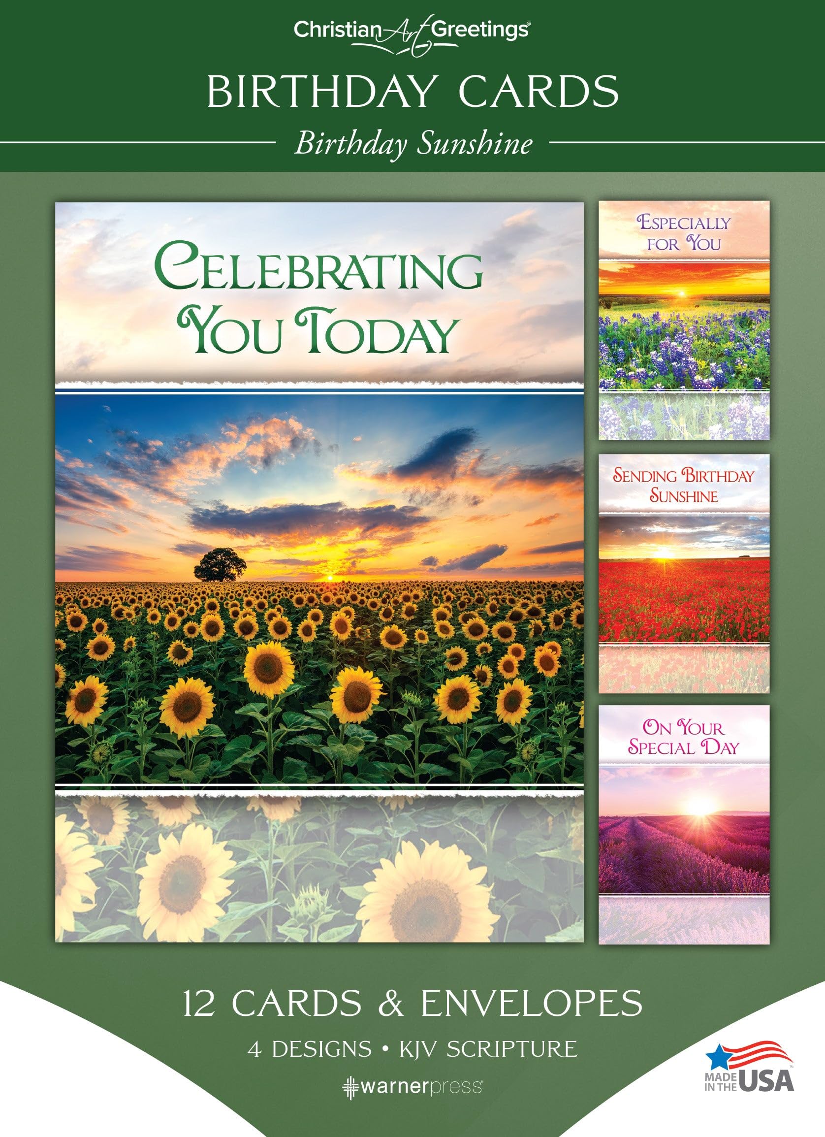Warner Press Card-Boxed-Birthday Sunshine Assorted (KJV) (Box Of 12