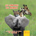 Les Comptines Des Animaux