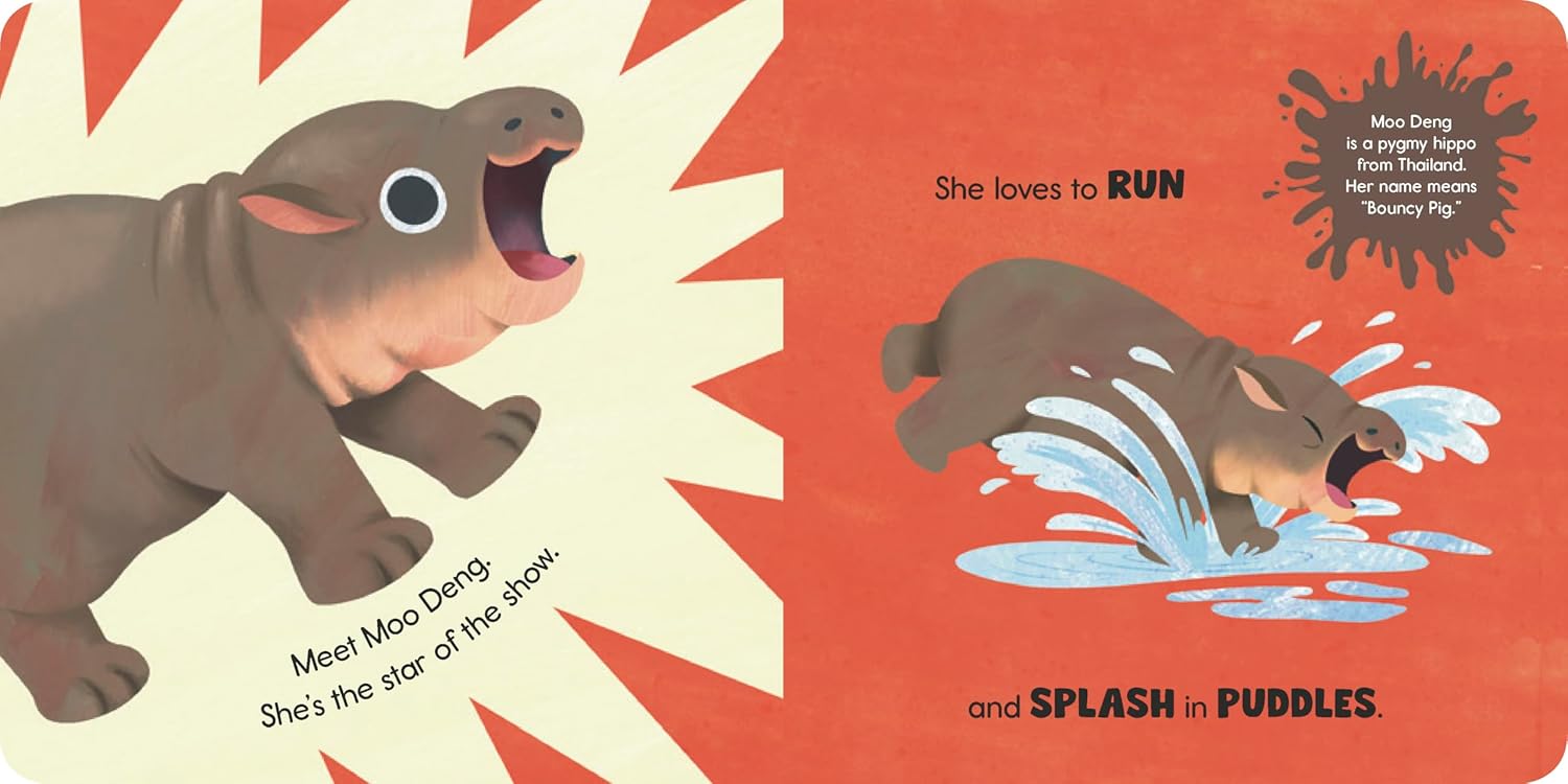 Moo Deng Says No!: The pygmy hippo internet sensation!