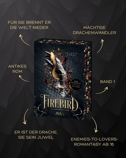 Flammensturm (Band 1) - Firebird - (German Import)