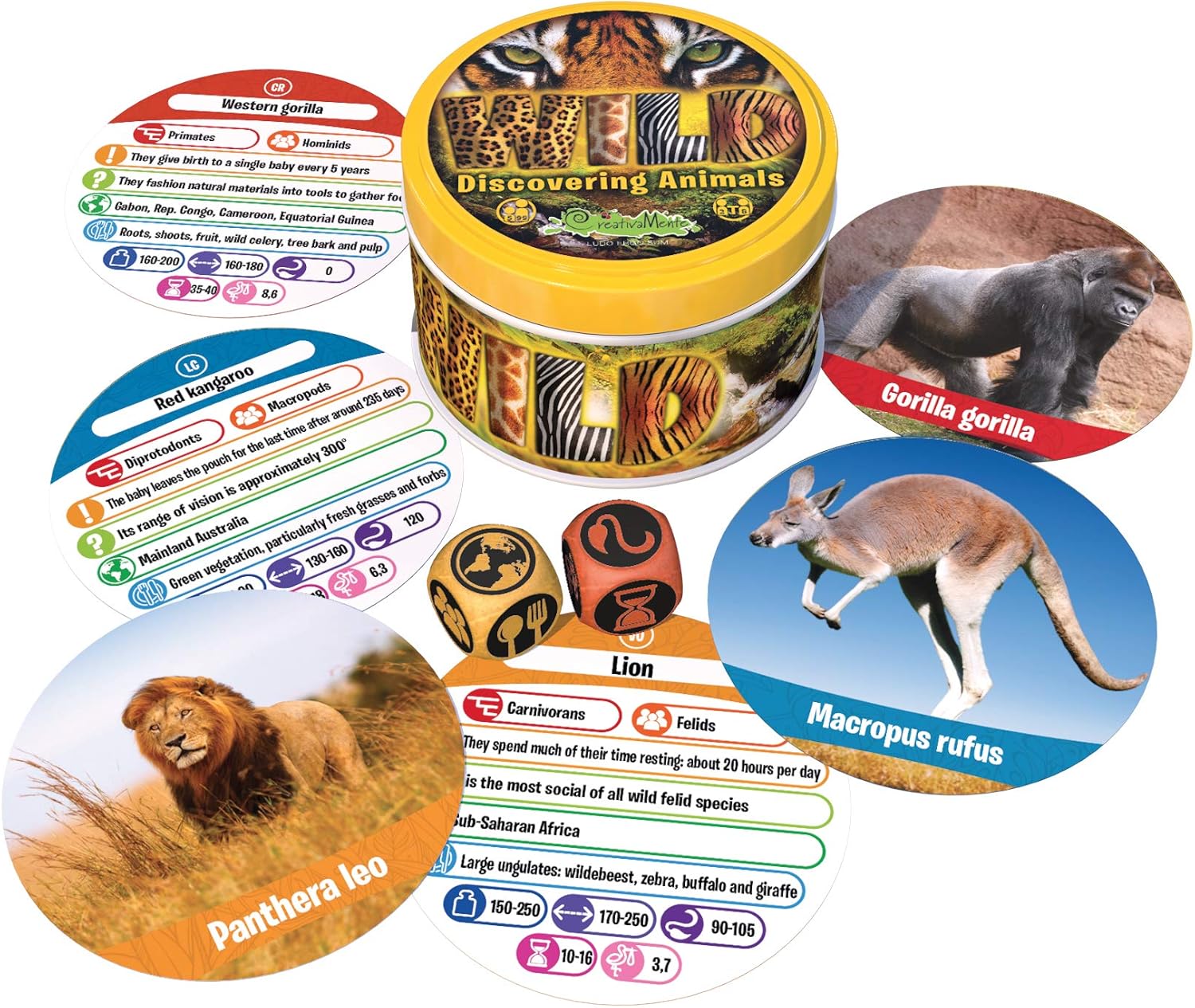 CreativaMente - Wild-Box Game, Multicoloured, 516