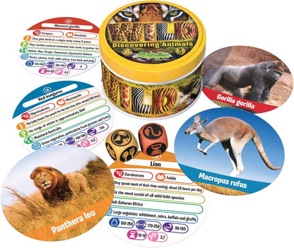 CreativaMente - Wild-Box Game, Multicoloured, 516