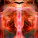 The Annihilating Angel Or the Surface of the World