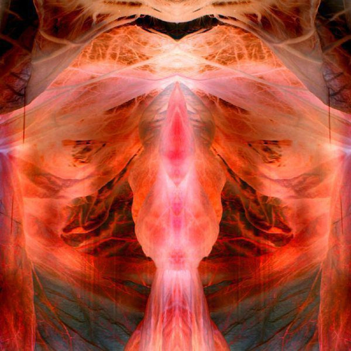 The Annihilating Angel Or the Surface of the World